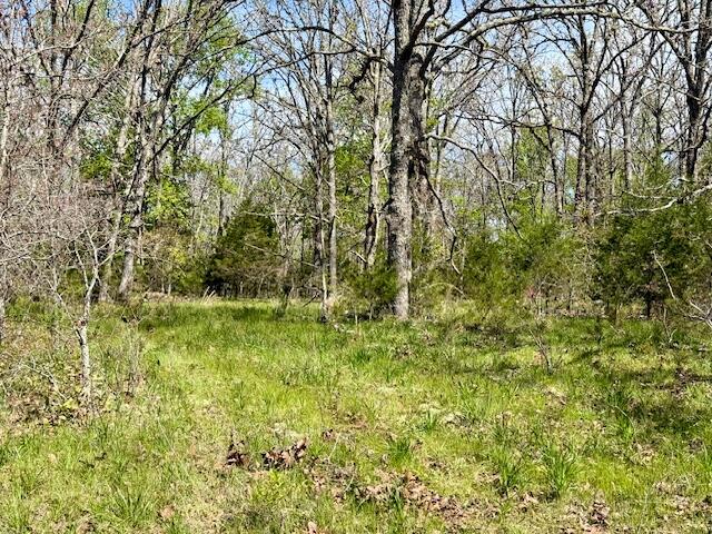 Photo 67 - Land for sale – 4515  Wallen Road  Summersville, MO
