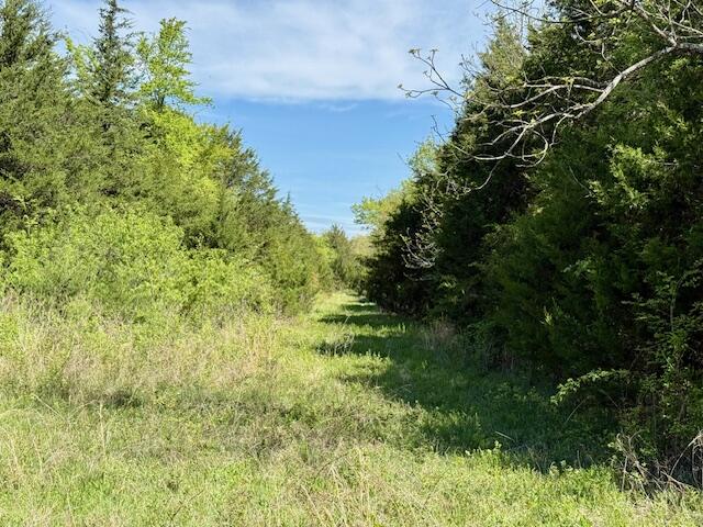 Photo 64 - Land for sale – 4515  Wallen Road  Summersville, MO