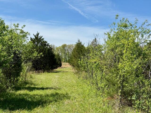 Photo 31 - Land for sale – 4515  Wallen Road  Summersville, MO
