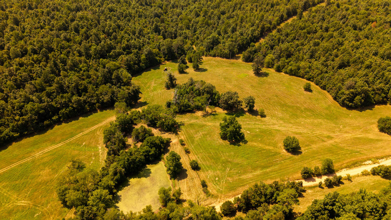 Photo 68 - Land for sale – Tbd  County Road 443   Birch Tree, MO