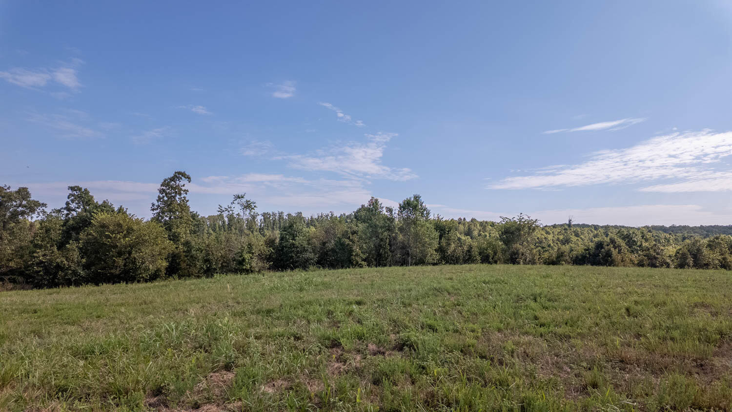 Photo 16 - Land for sale – Tbd  County Road 443   Birch Tree, MO