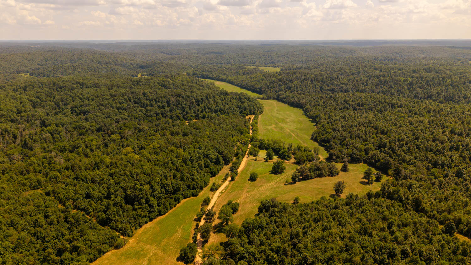 Photo 58 - Land for sale – Tbd  County Road 443   Birch Tree, MO