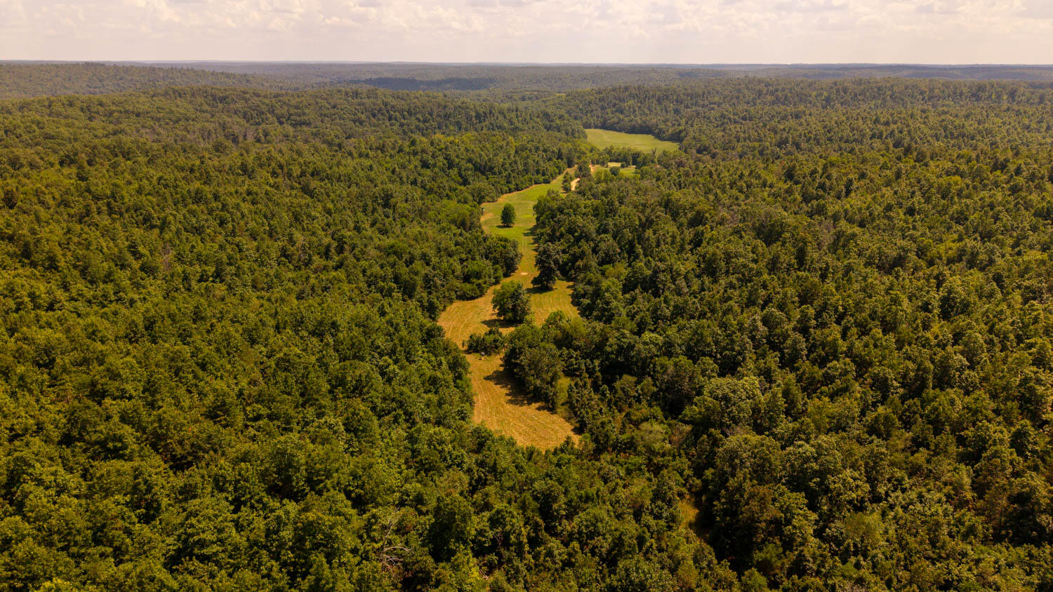 Photo 56 - Land for sale – Tbd  County Road 443   Birch Tree, MO