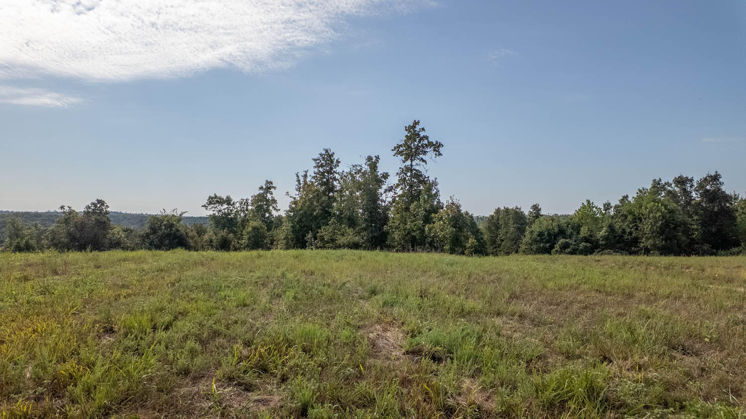 Photo 15 - Land for sale – Tbd  County Road 443   Birch Tree, MO