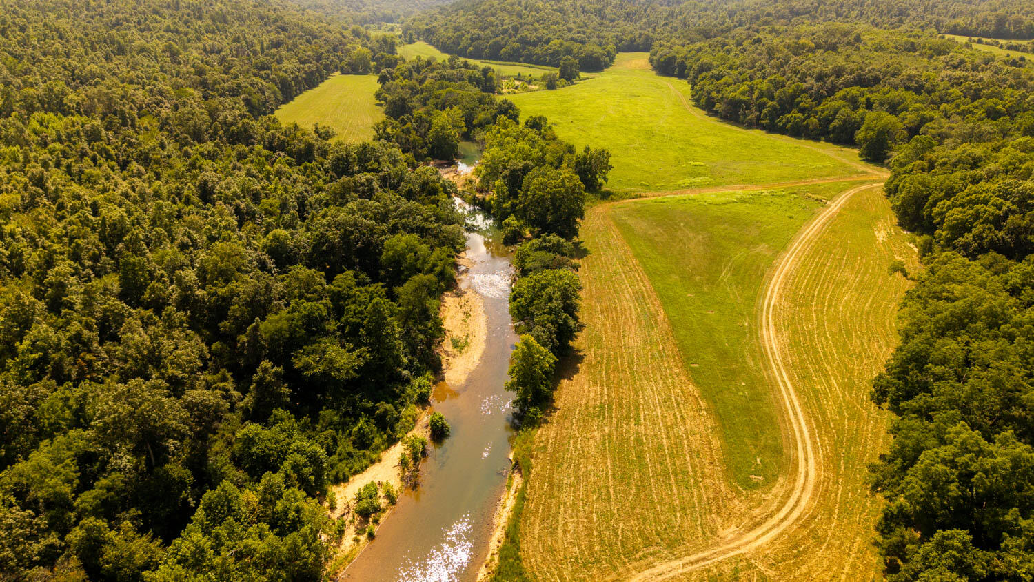 Photo 97 - Land for sale – Tbd  County Road 443   Birch Tree, MO