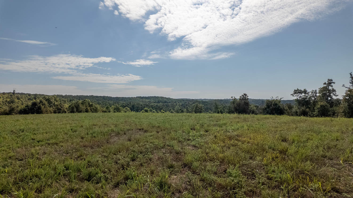 Photo 14 - Land for sale – Tbd  County Road 443   Birch Tree, MO