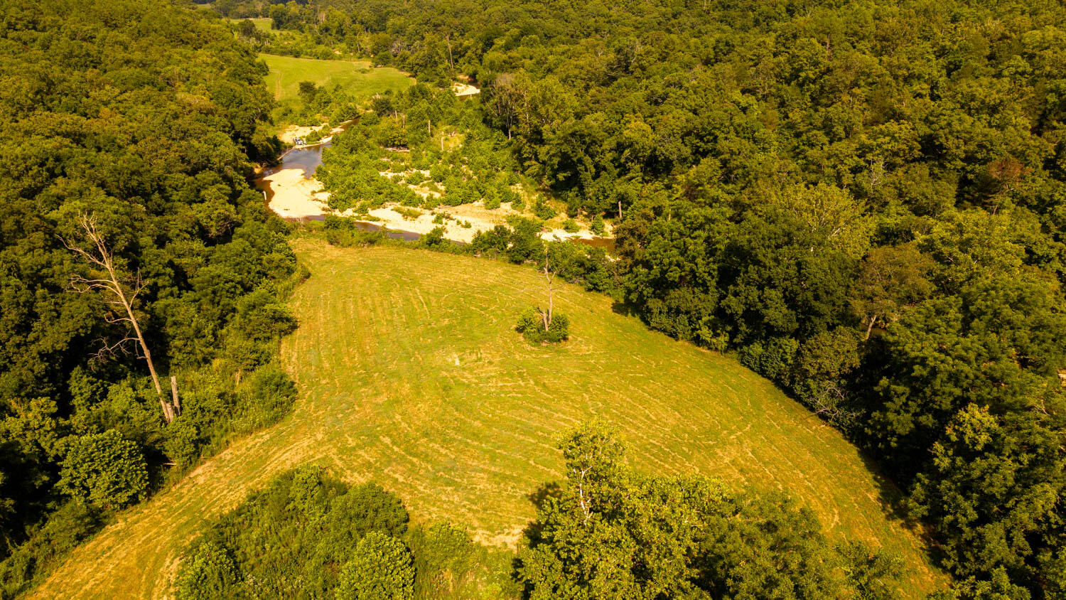 Photo 114 - Land for sale – Tbd  County Road 443   Birch Tree, MO