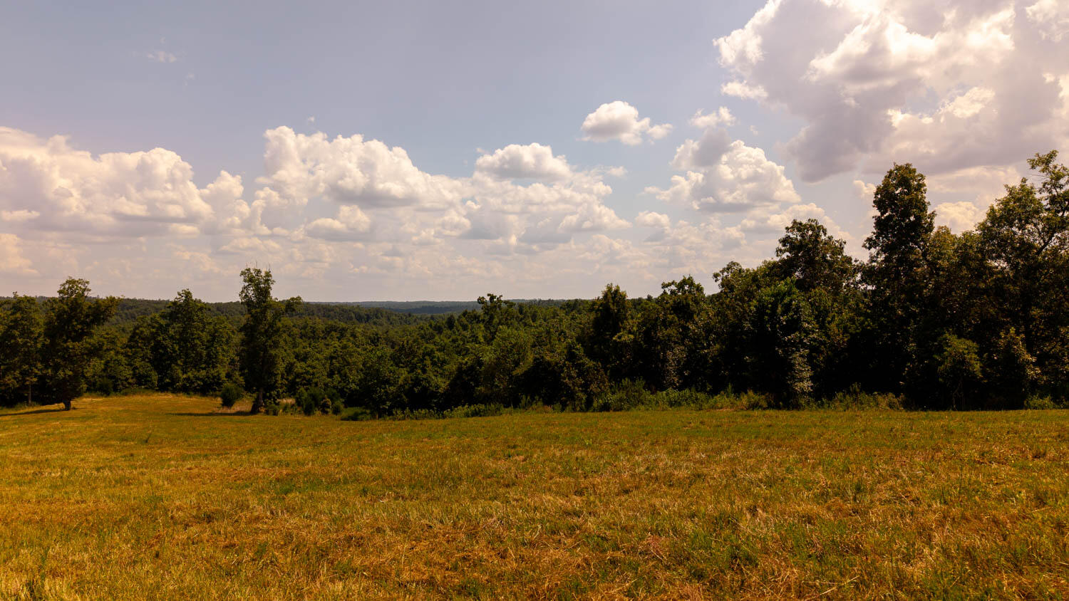 Photo 54 - Land for sale – Tbd  County Road 443   Birch Tree, MO