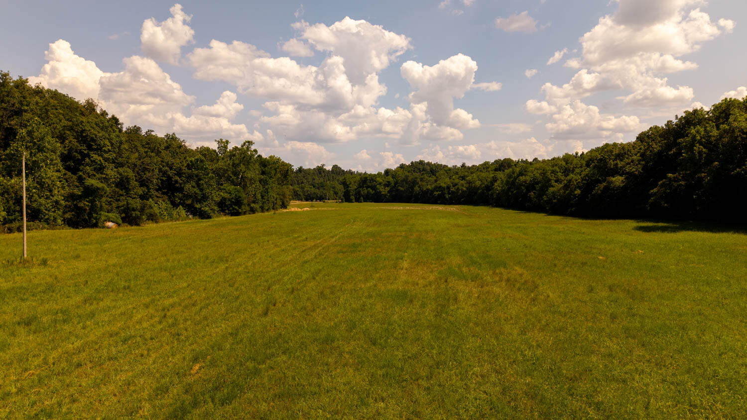 Photo 69 - Land for sale – Tbd  County Road 443   Birch Tree, MO