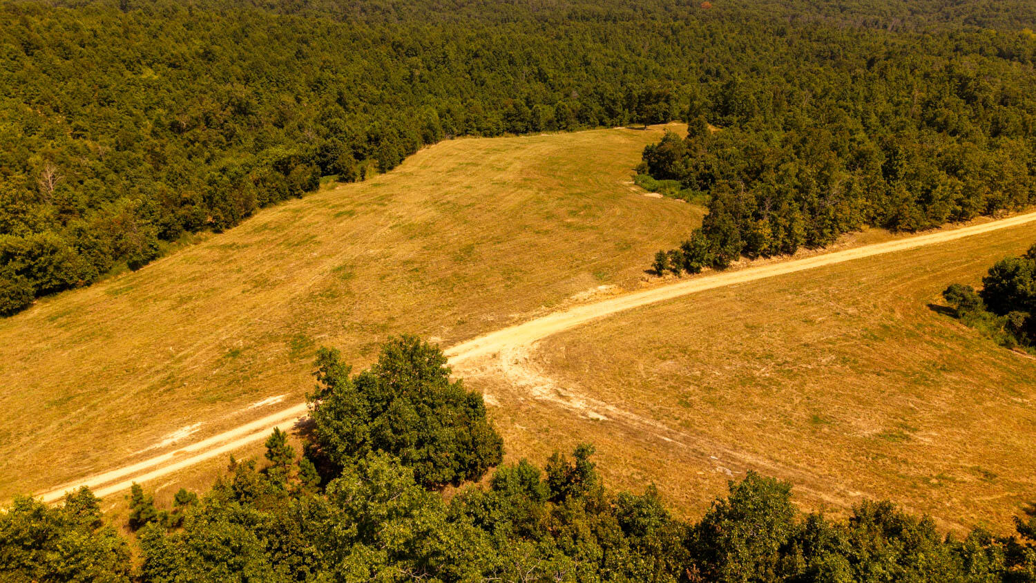 Photo 61 - Land for sale – Tbd  County Road 443   Birch Tree, MO