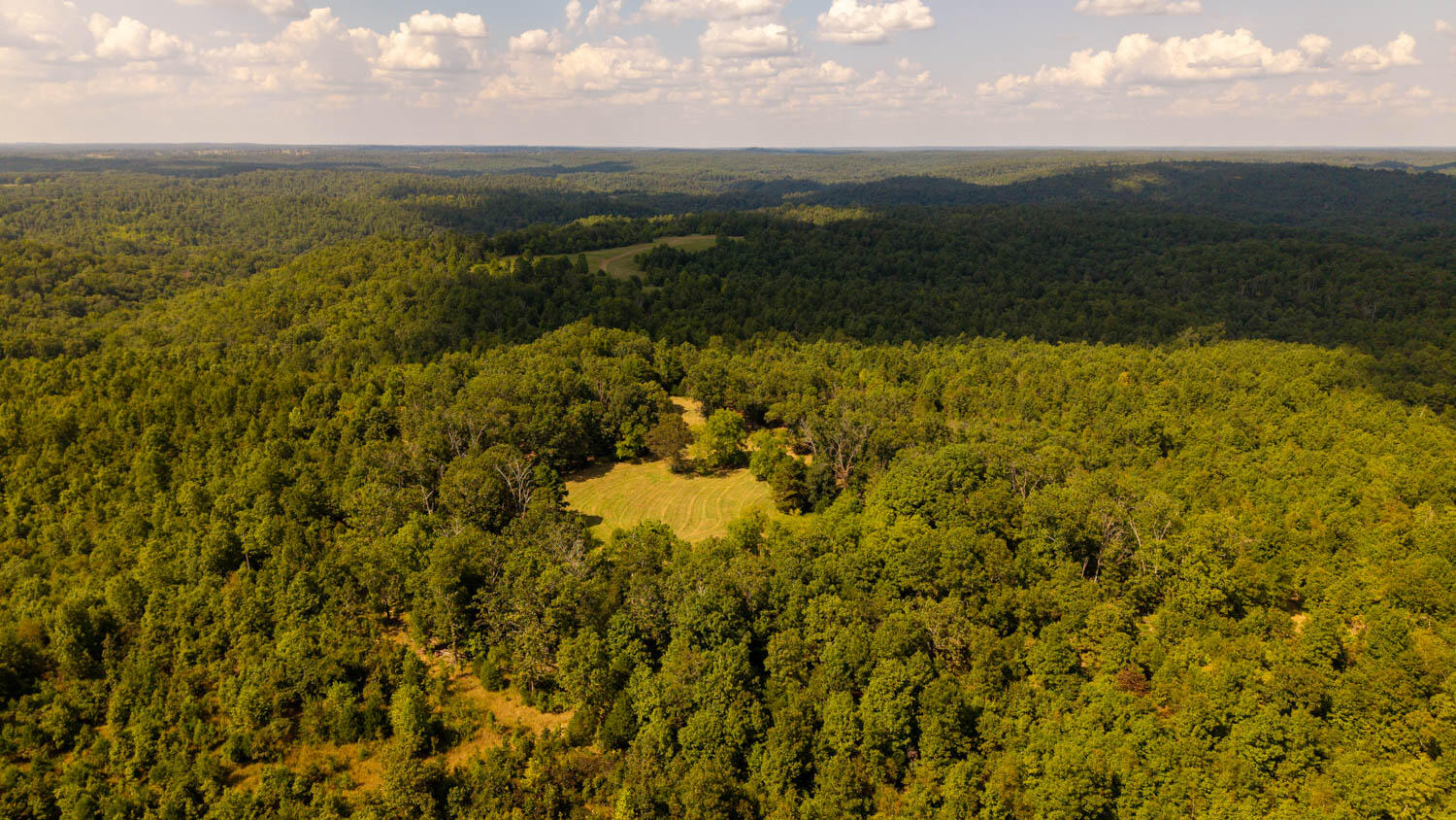Photo 107 - Land for sale – Tbd  County Road 443   Birch Tree, MO