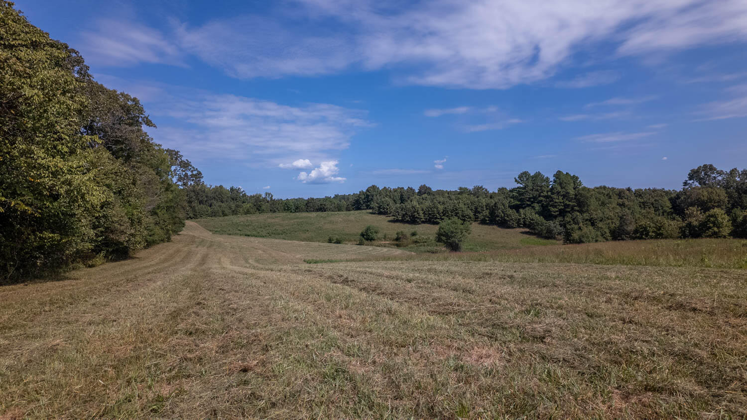 Photo 22 - Land for sale – Tbd  County Road 443   Birch Tree, MO