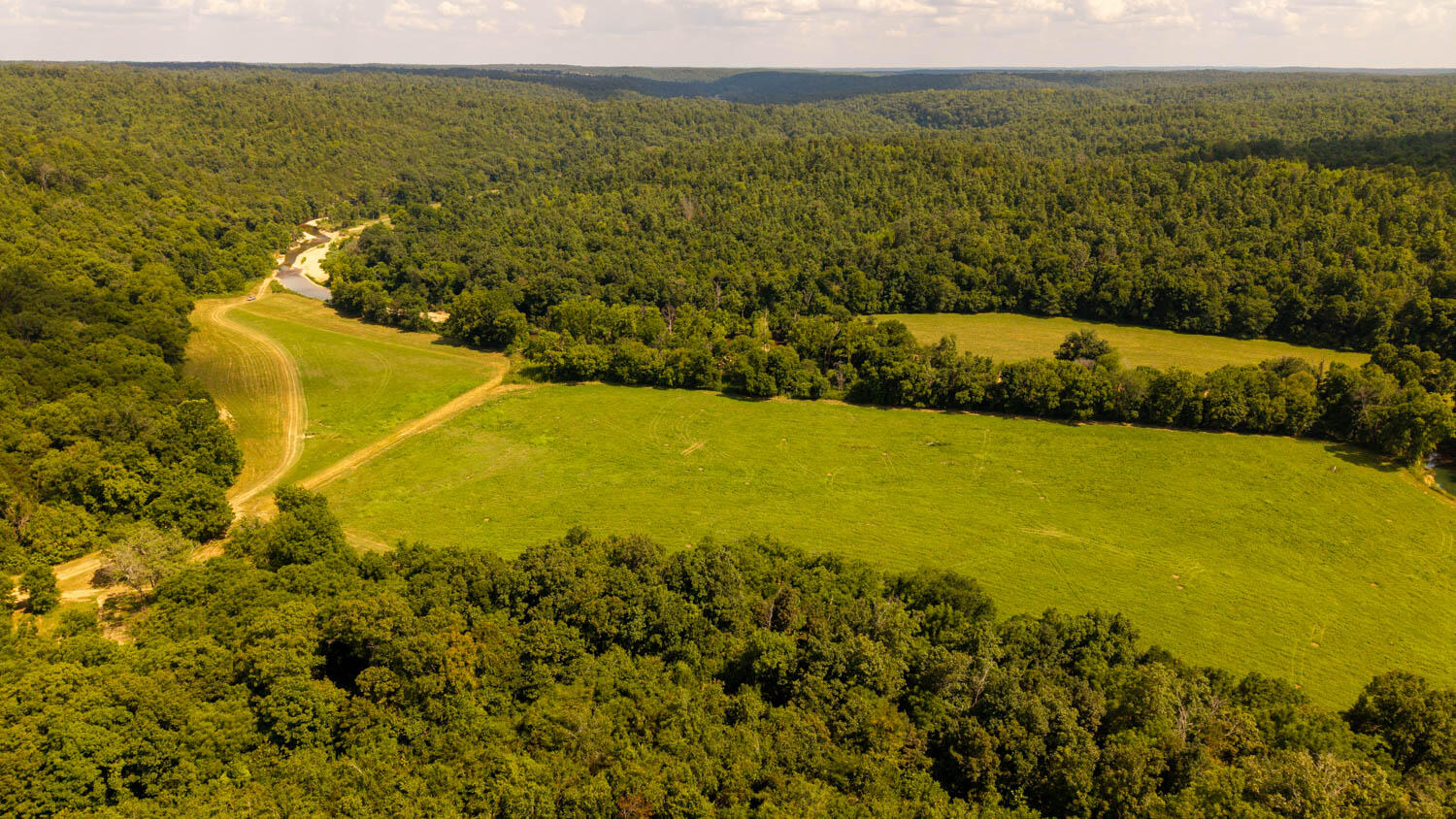 Photo 92 - Land for sale – Tbd  County Road 443   Birch Tree, MO