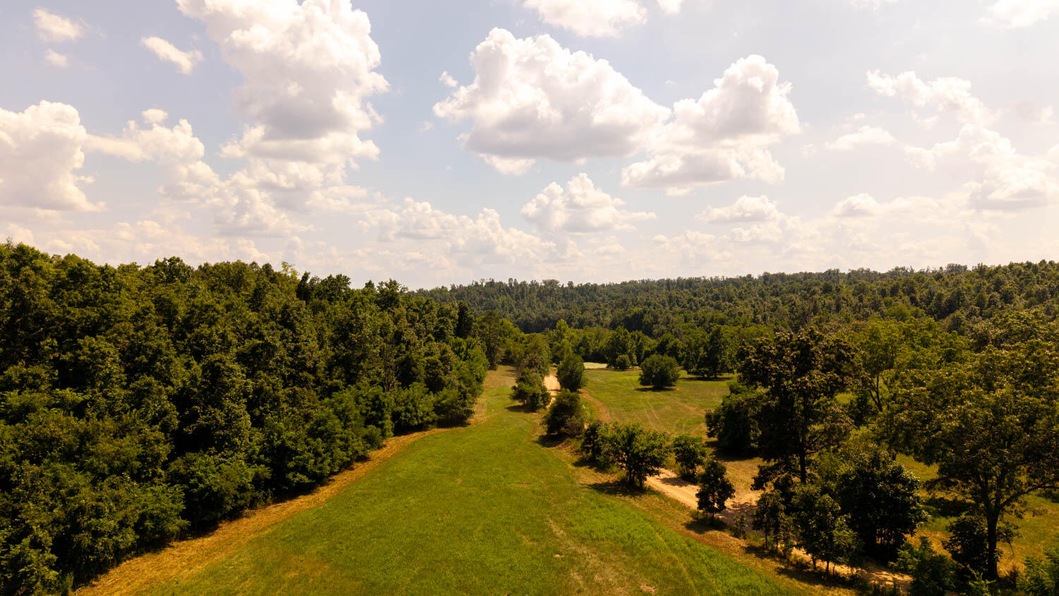 Photo 65 - Land for sale – Tbd  County Road 443   Birch Tree, MO