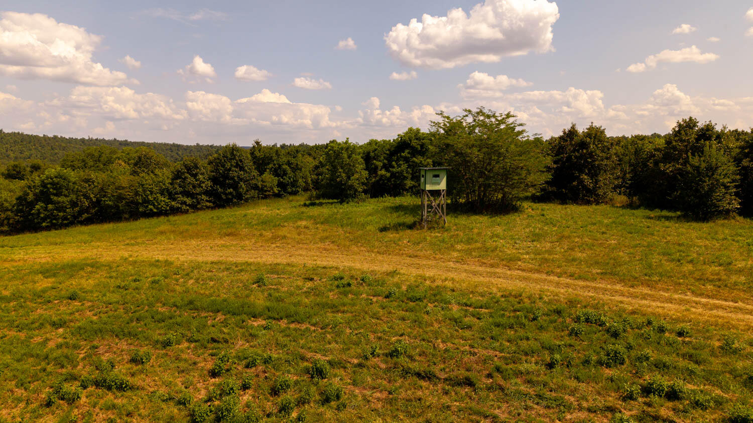 Photo 82 - Land for sale – Tbd  County Road 443   Birch Tree, MO