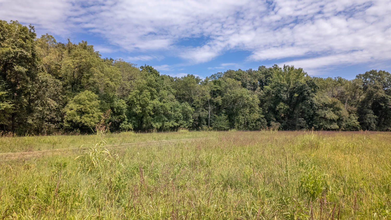 Photo 32 - Land for sale – Tbd  County Road 443   Birch Tree, MO