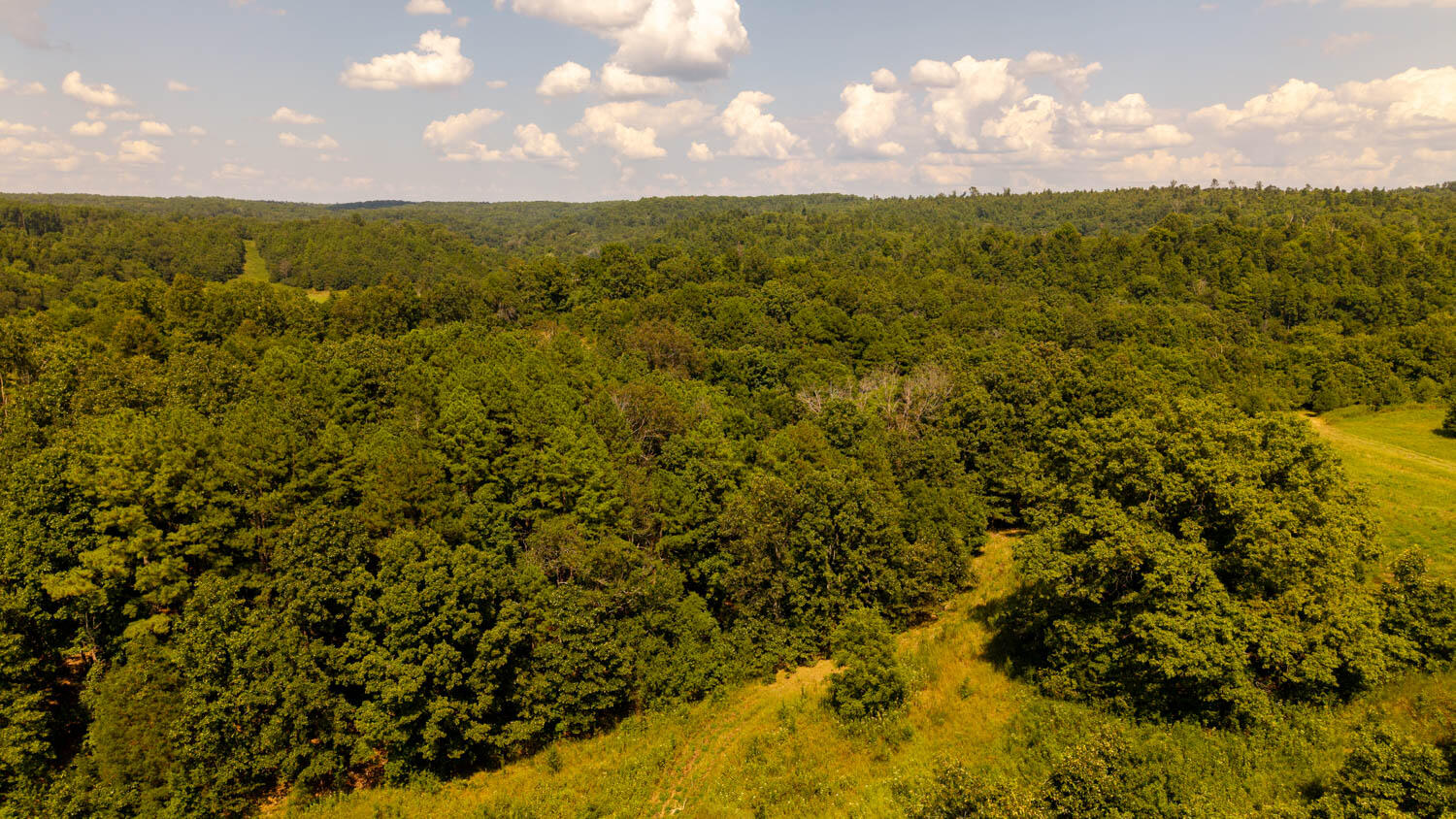 Photo 81 - Land for sale – Tbd  County Road 443   Birch Tree, MO