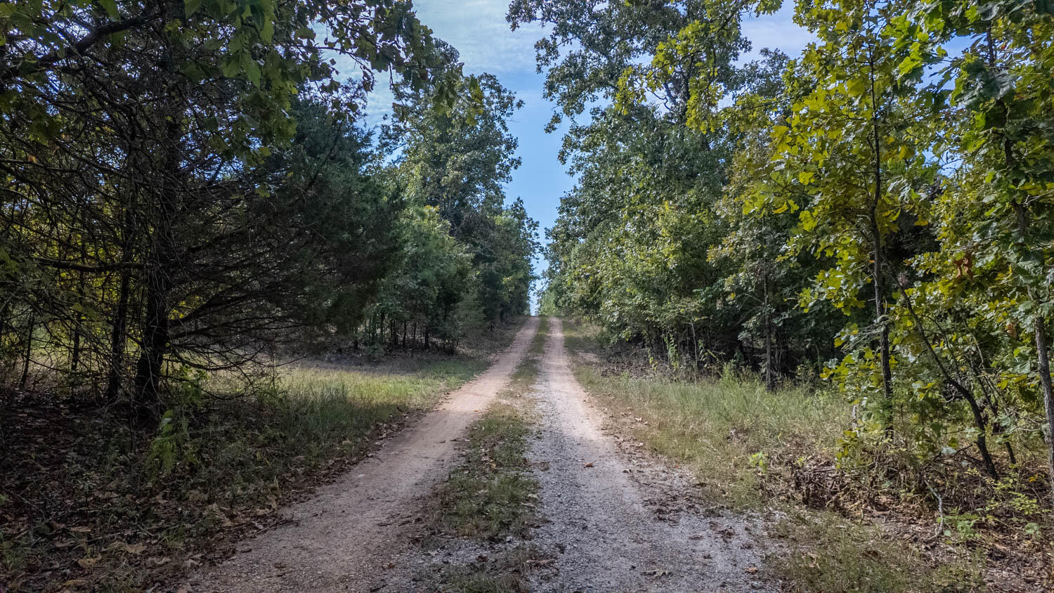 Photo 13 - Land for sale – Tbd  County Road 443   Birch Tree, MO