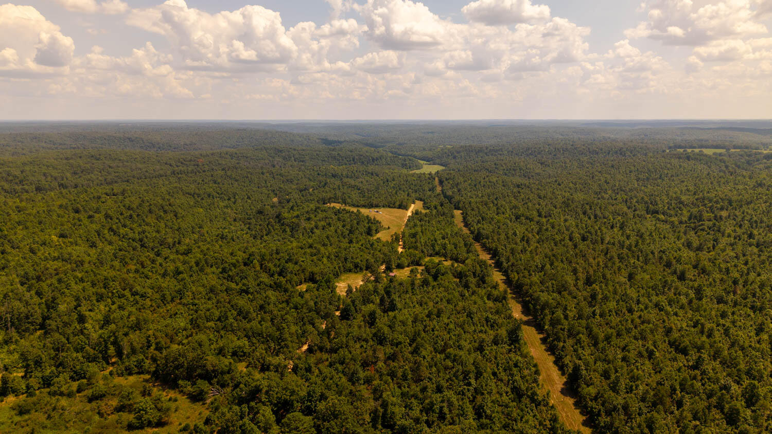 Photo 57 - Land for sale – Tbd  County Road 443   Birch Tree, MO