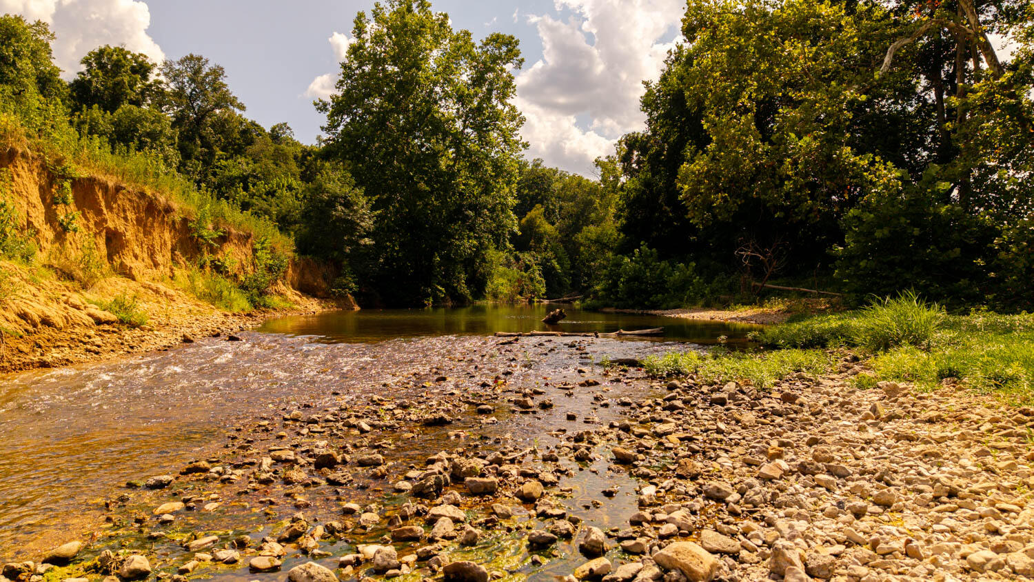 Photo 101 - Land for sale – Tbd  County Road 443   Birch Tree, MO