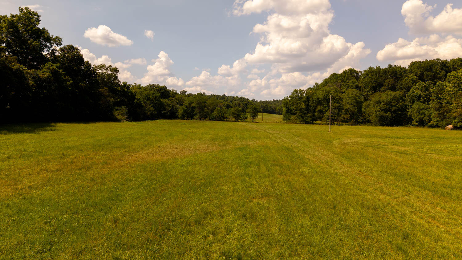Photo 71 - Land for sale – Tbd  County Road 443   Birch Tree, MO