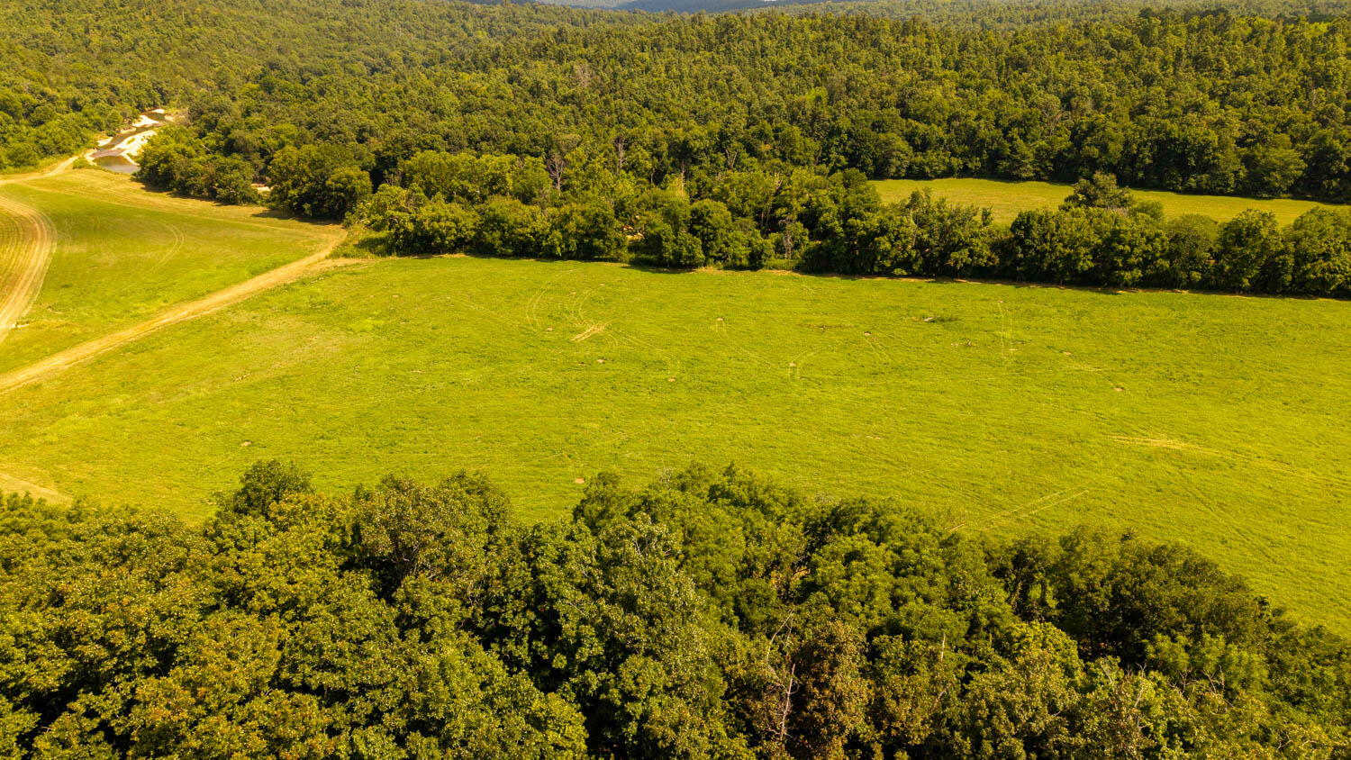 Photo 91 - Land for sale – Tbd  County Road 443   Birch Tree, MO