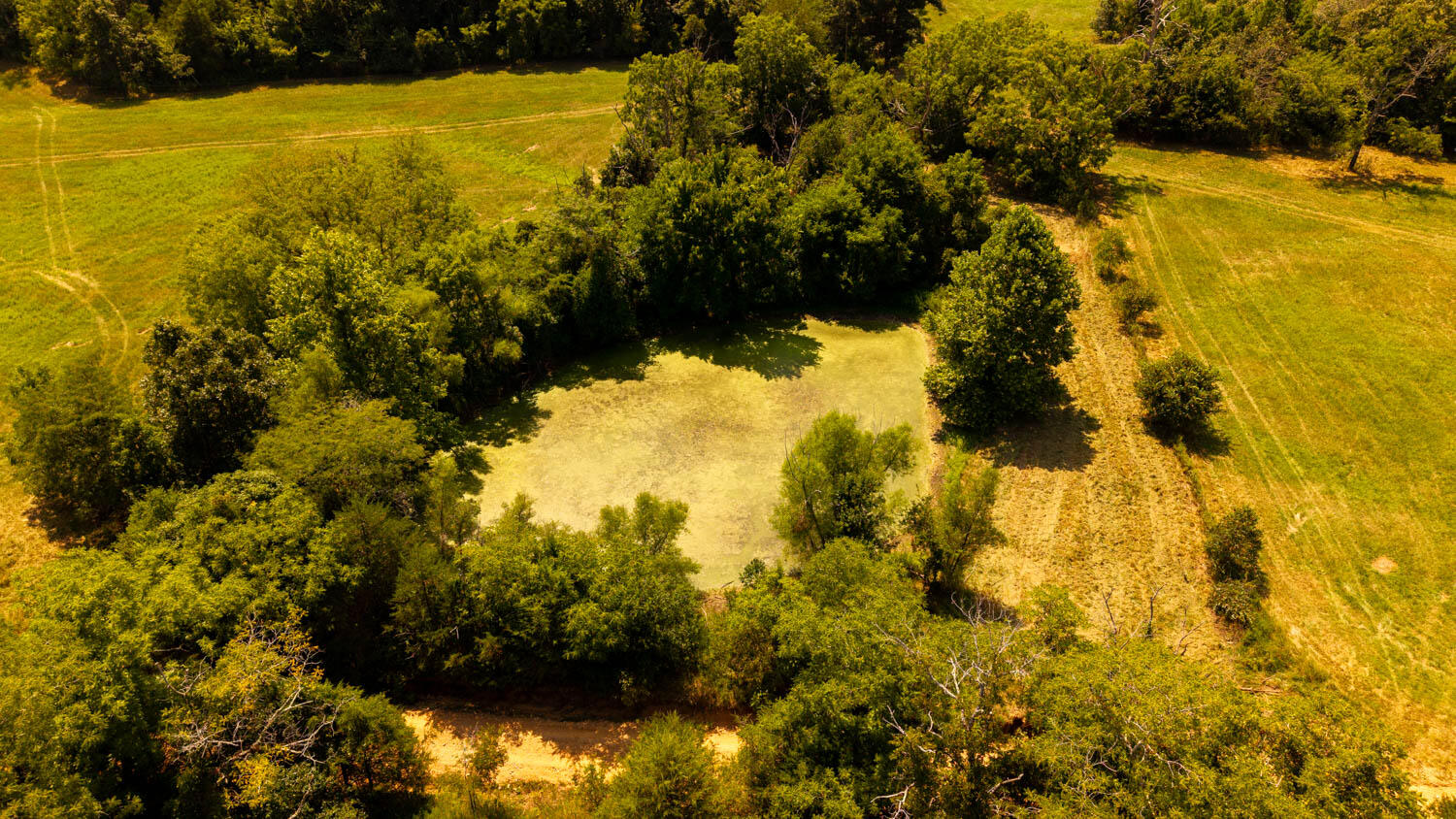 Photo 67 - Land for sale – Tbd  County Road 443   Birch Tree, MO