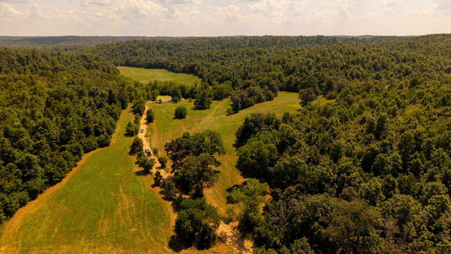 Photo 63 - Land for sale – Tbd  County Road 443   Birch Tree, MO