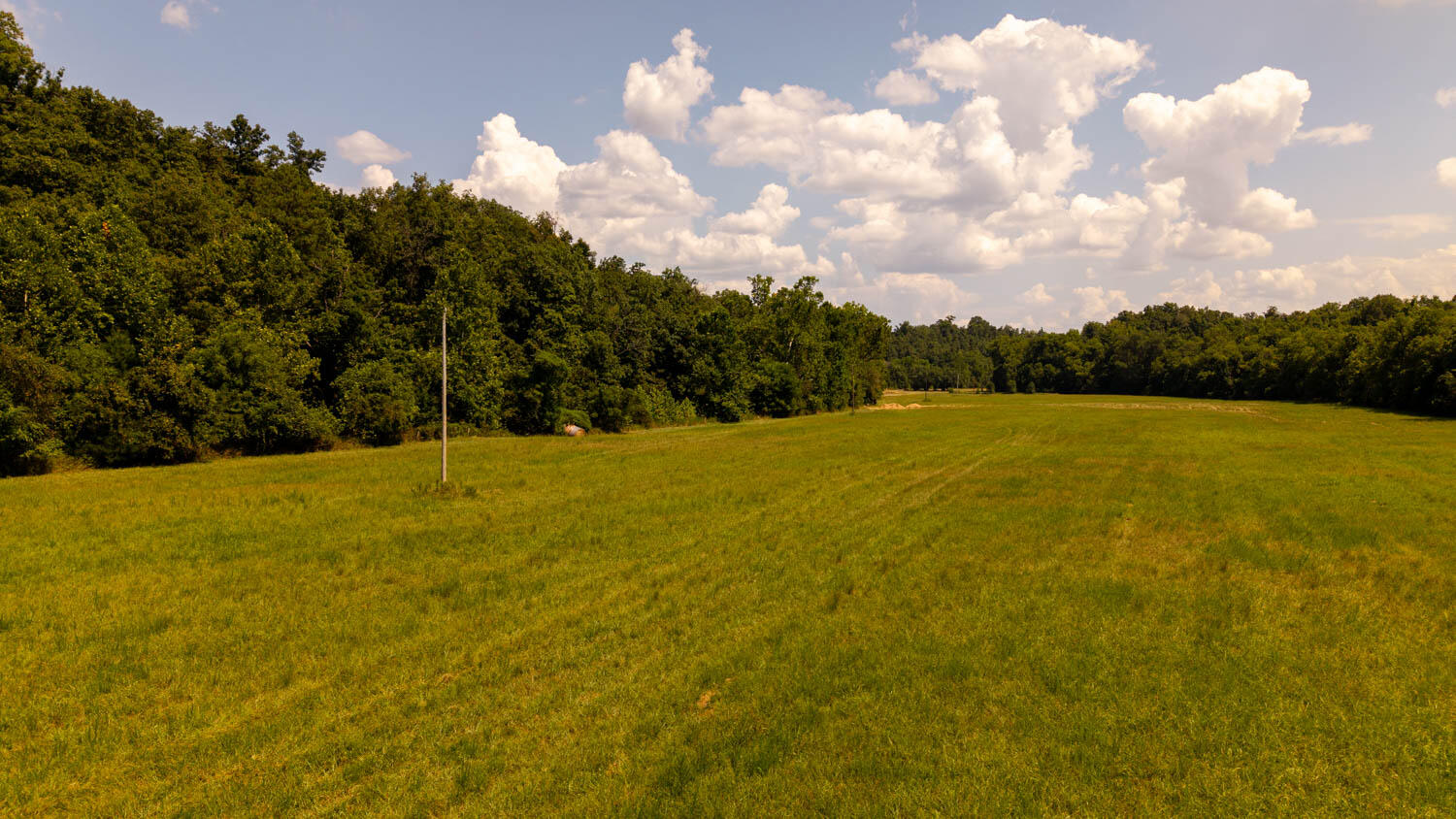 Photo 70 - Land for sale – Tbd  County Road 443   Birch Tree, MO