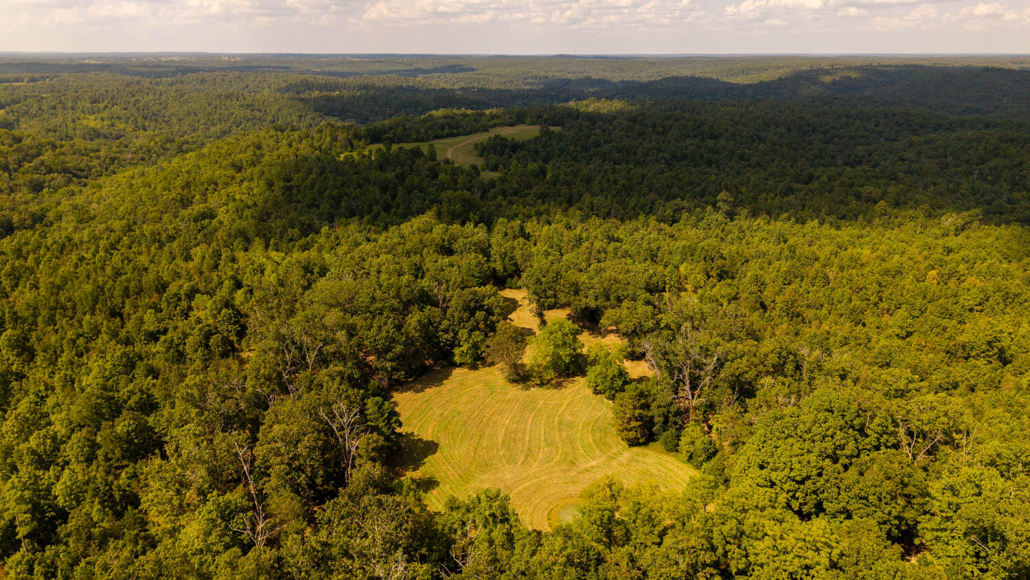 Photo 108 - Land for sale – Tbd  County Road 443   Birch Tree, MO