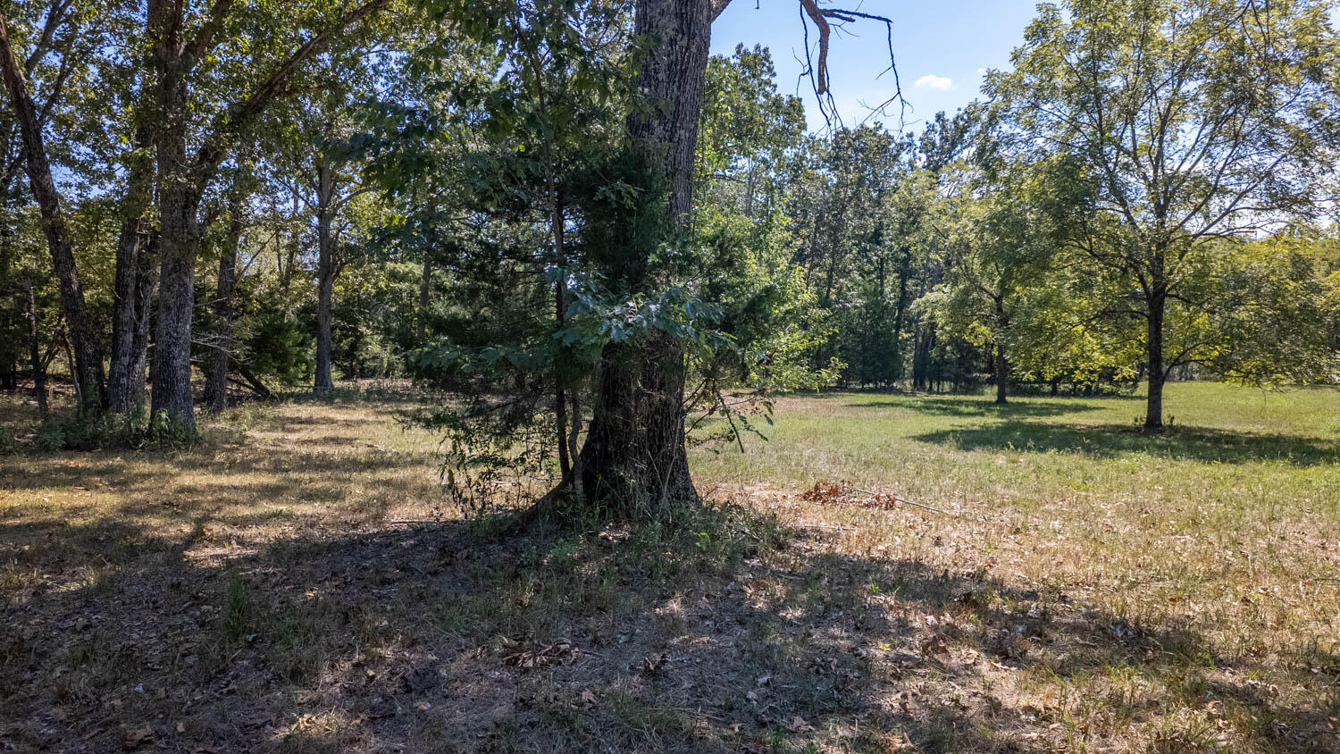 Photo 37 - Land for sale – Tbd  County Road 443   Birch Tree, MO