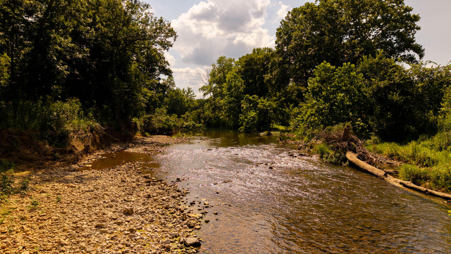 Photo 93 - Land for sale – Tbd  County Road 443   Birch Tree, MO