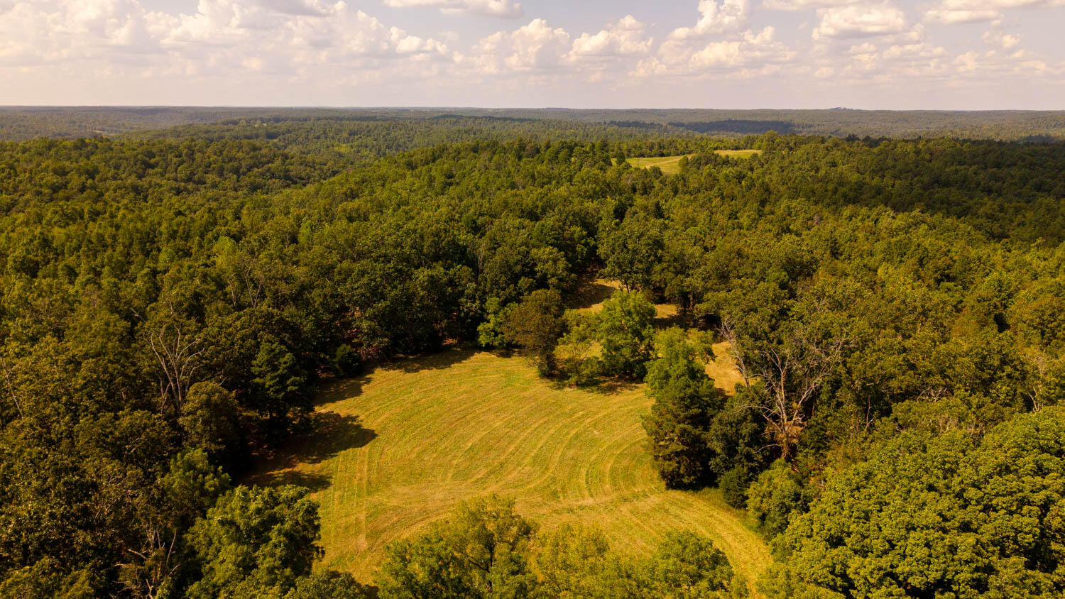 Photo 105 - Land for sale – Tbd  County Road 443   Birch Tree, MO