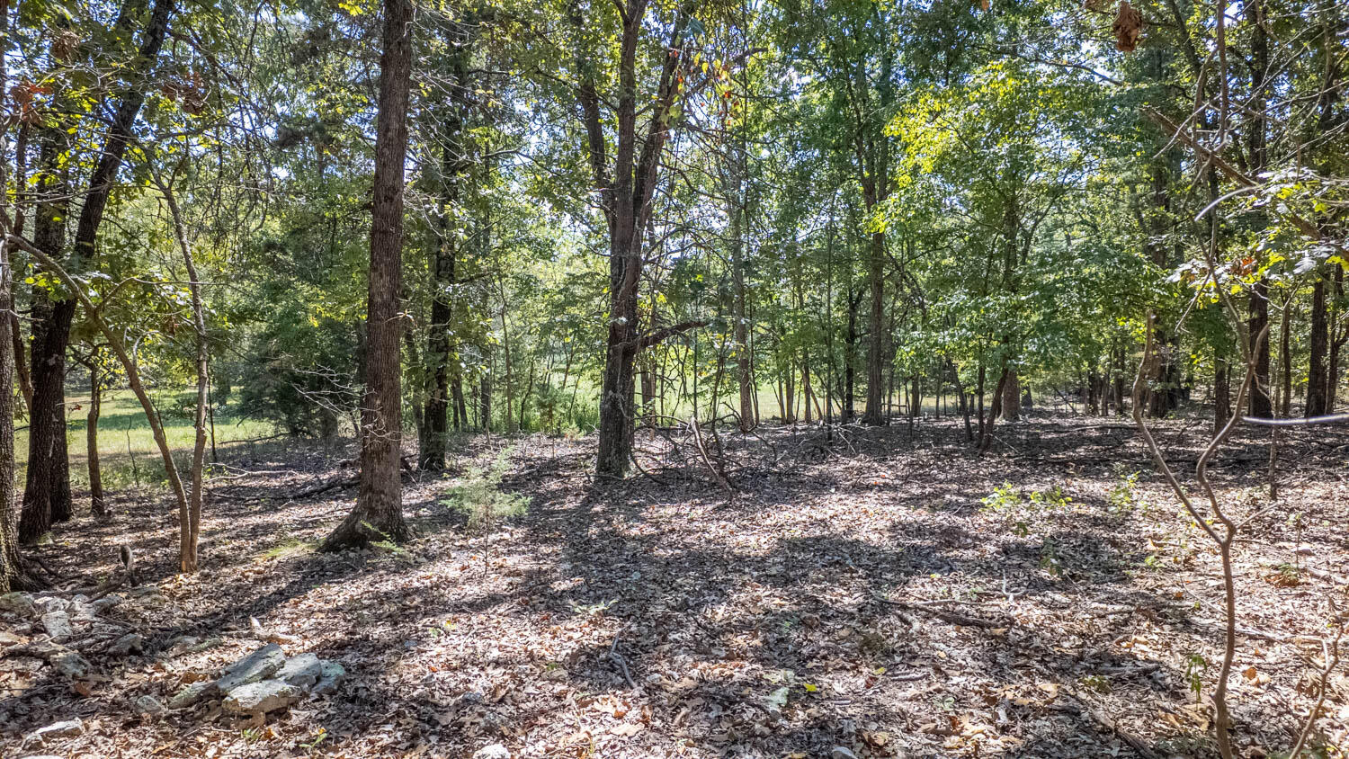 Photo 43 - Land for sale – Tbd  County Road 443   Birch Tree, MO