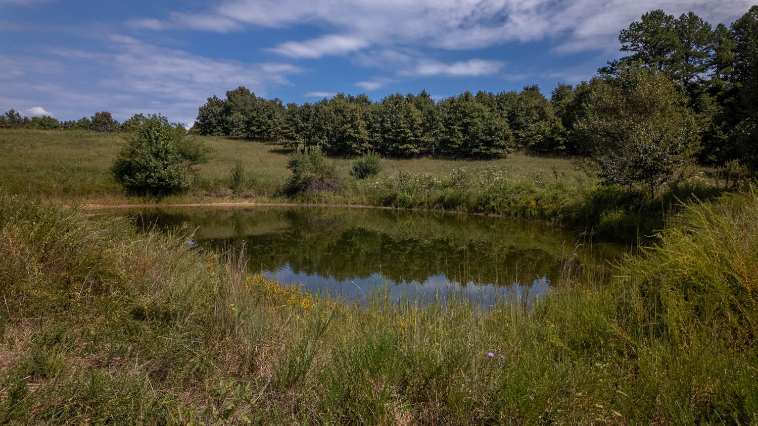 Photo 24 - Land for sale – Tbd  County Road 443   Birch Tree, MO