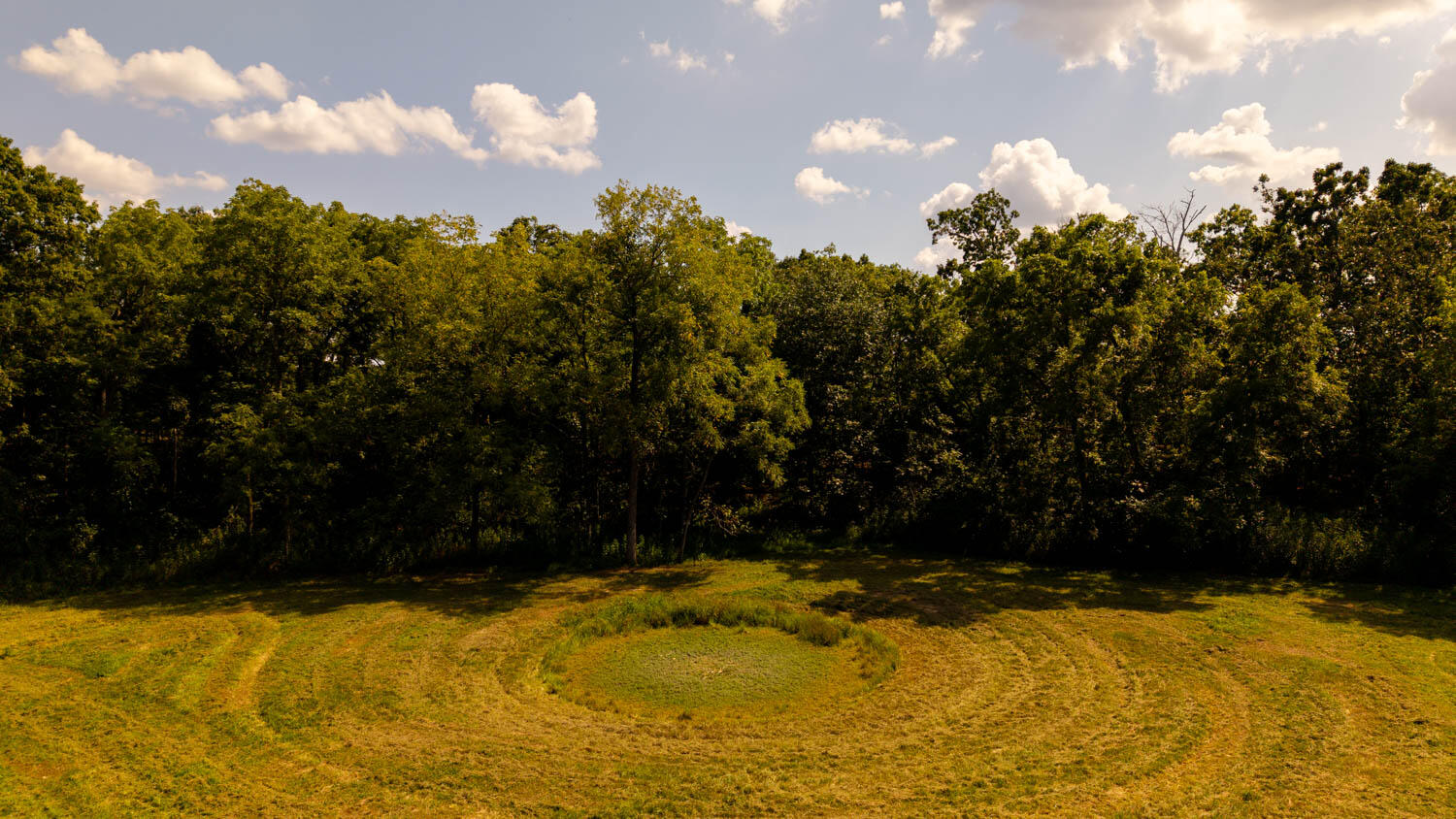 Photo 106 - Land for sale – Tbd  County Road 443   Birch Tree, MO