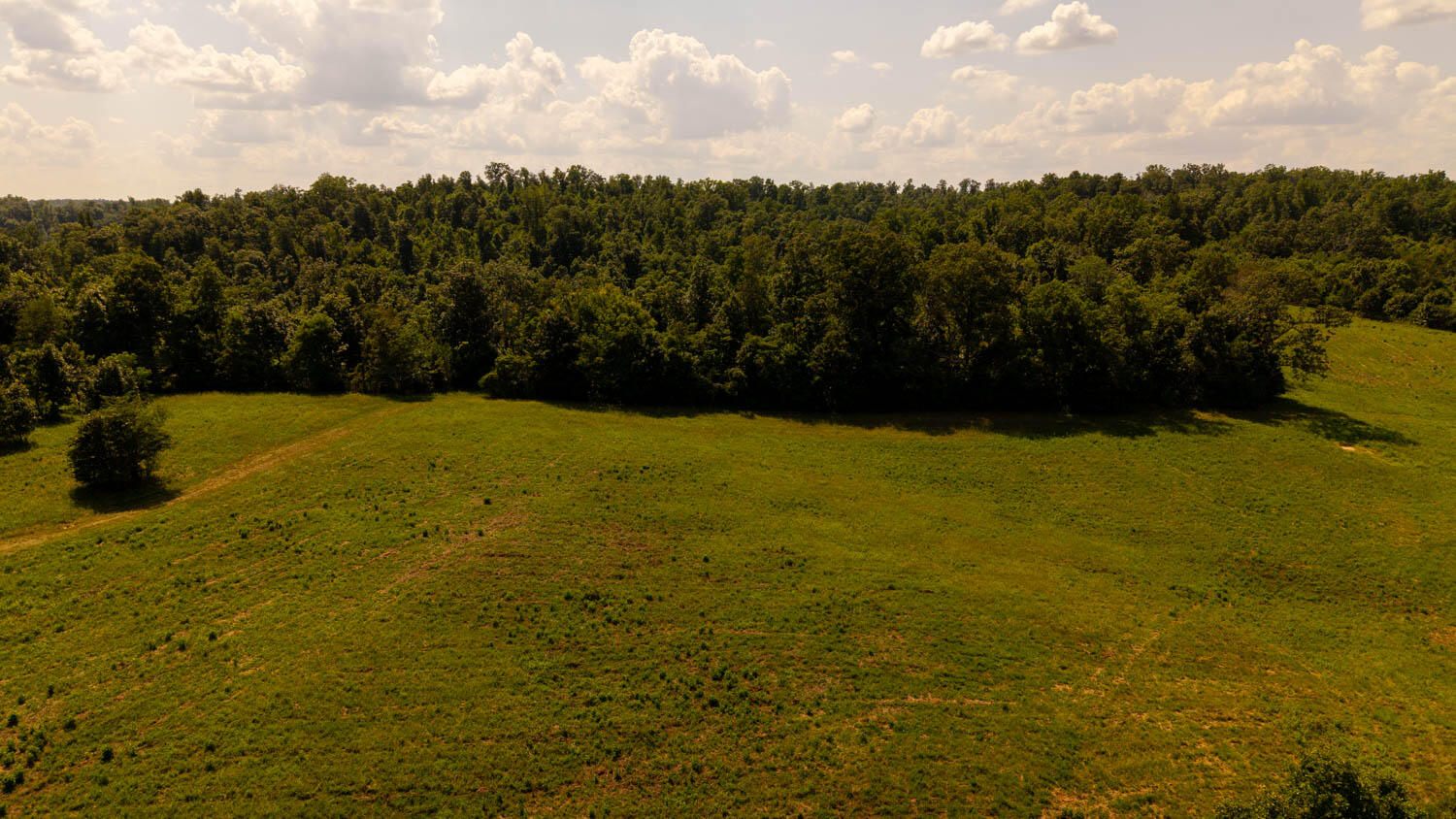 Photo 79 - Land for sale – Tbd  County Road 443   Birch Tree, MO