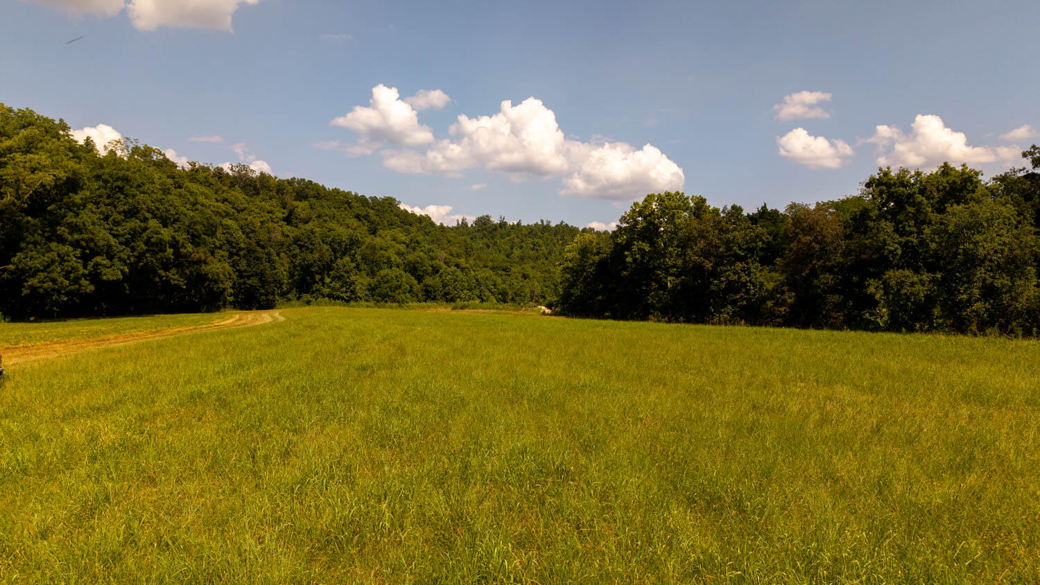 Photo 88 - Land for sale – Tbd  County Road 443   Birch Tree, MO