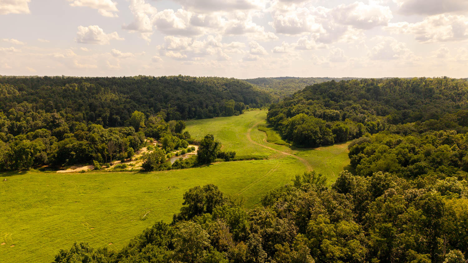 Photo 90 - Land for sale – Tbd  County Road 443   Birch Tree, MO