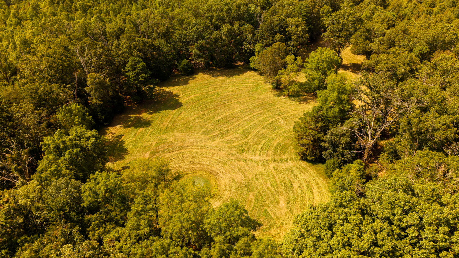 Photo 104 - Land for sale – Tbd  County Road 443   Birch Tree, MO