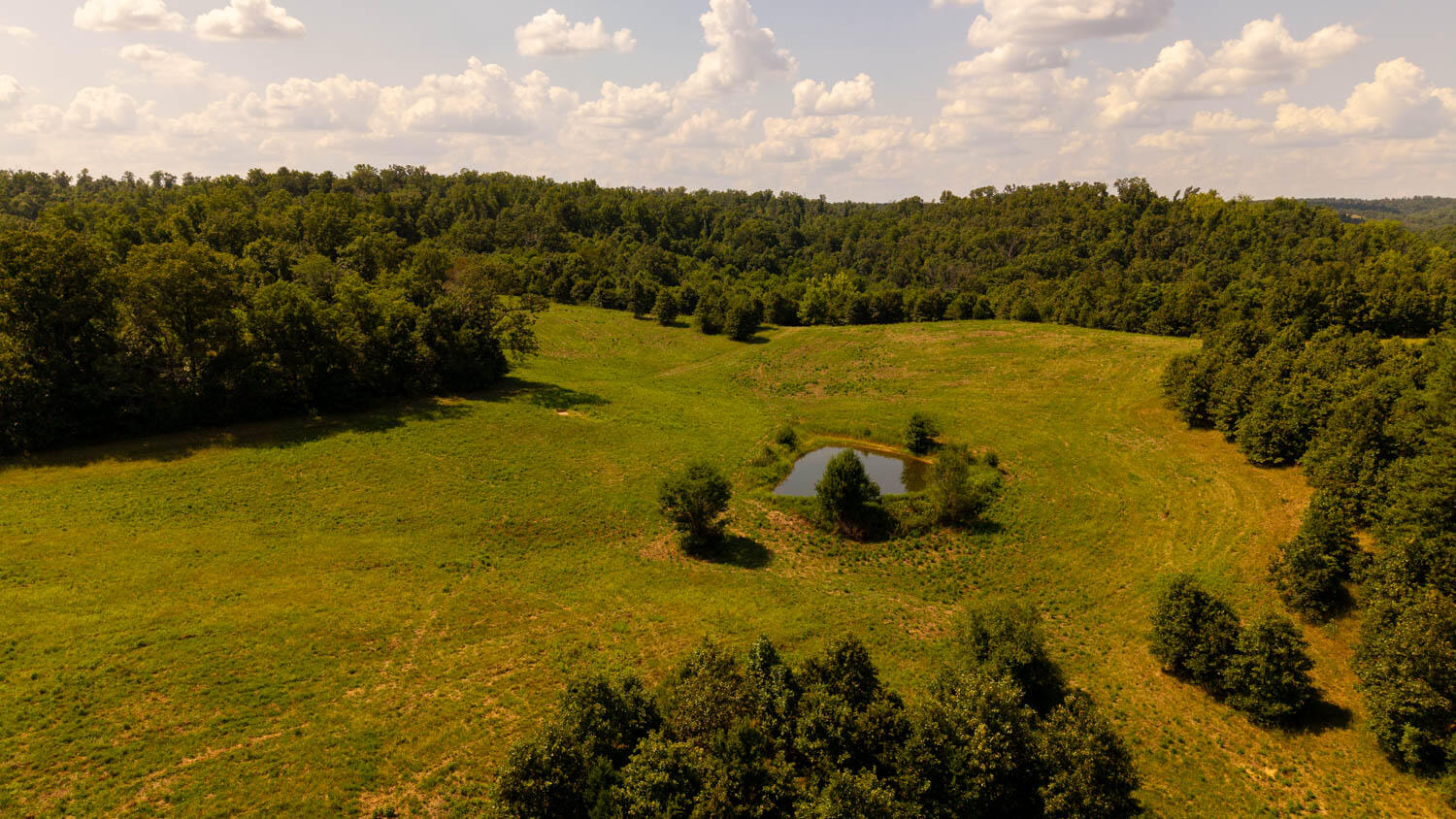 Photo 80 - Land for sale – Tbd  County Road 443   Birch Tree, MO