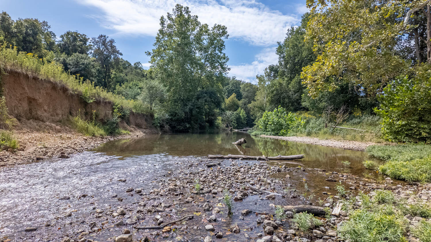 Photo 33 - Land for sale – Tbd  County Road 443   Birch Tree, MO