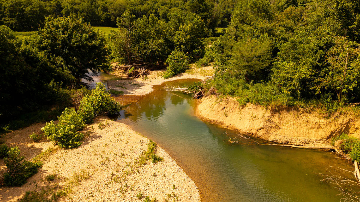 Photo 100 - Land for sale – Tbd  County Road 443   Birch Tree, MO
