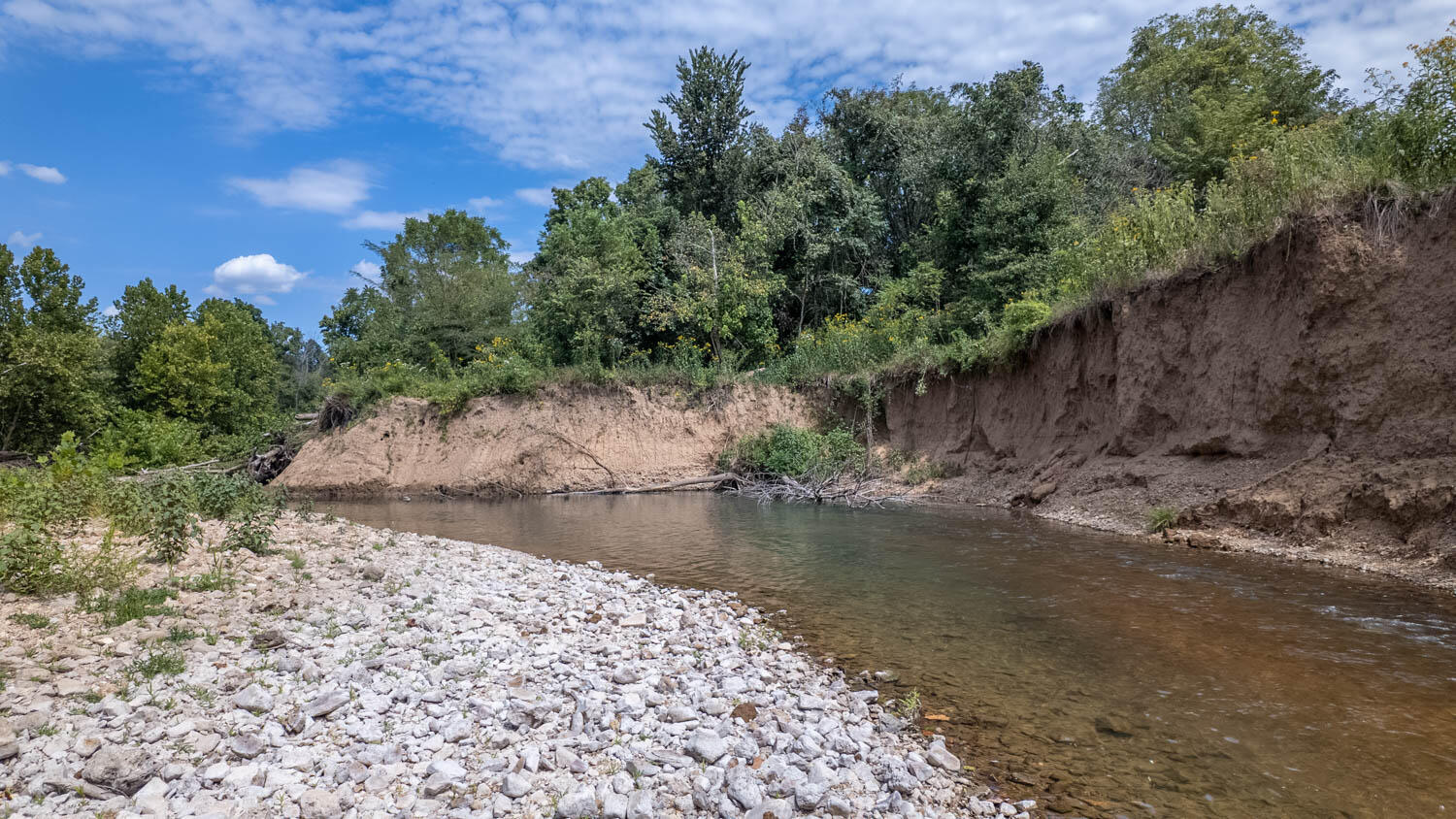 Photo 34 - Land for sale – Tbd  County Road 443   Birch Tree, MO