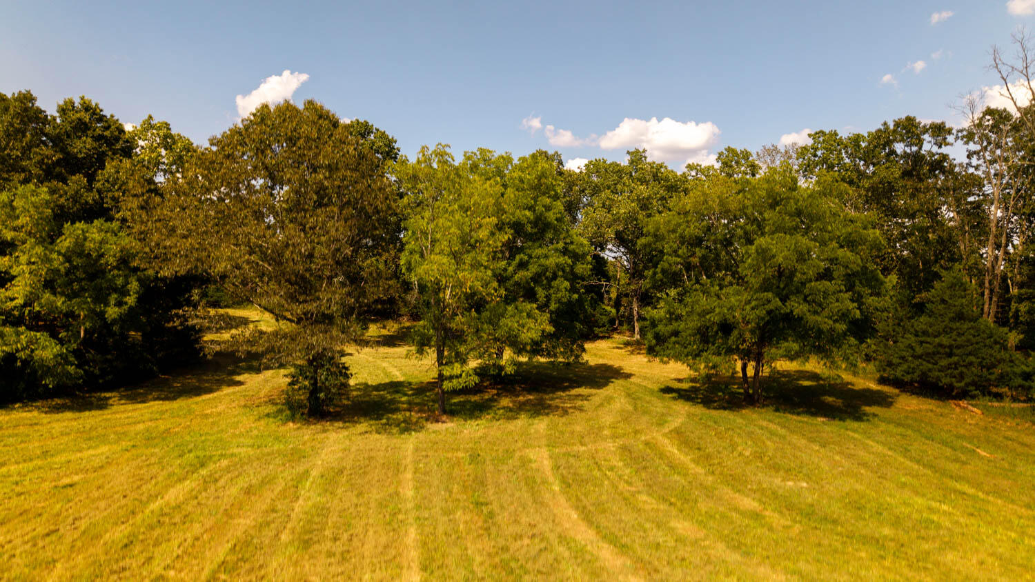 Photo 111 - Land for sale – Tbd  County Road 443   Birch Tree, MO