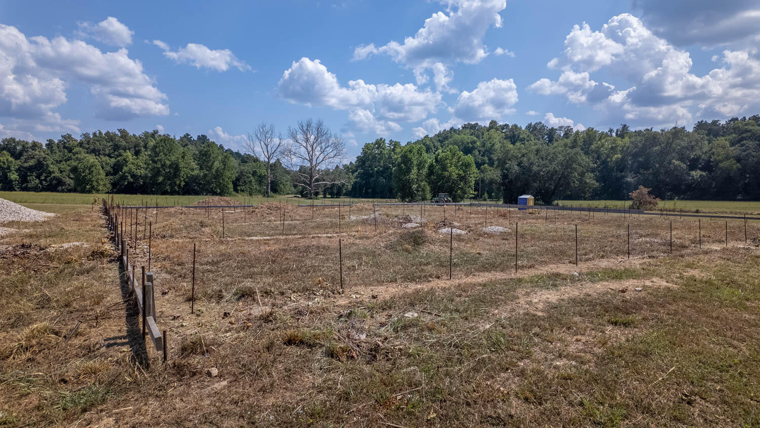 Photo 9 - Land for sale – Tbd  County Road 443   Birch Tree, MO