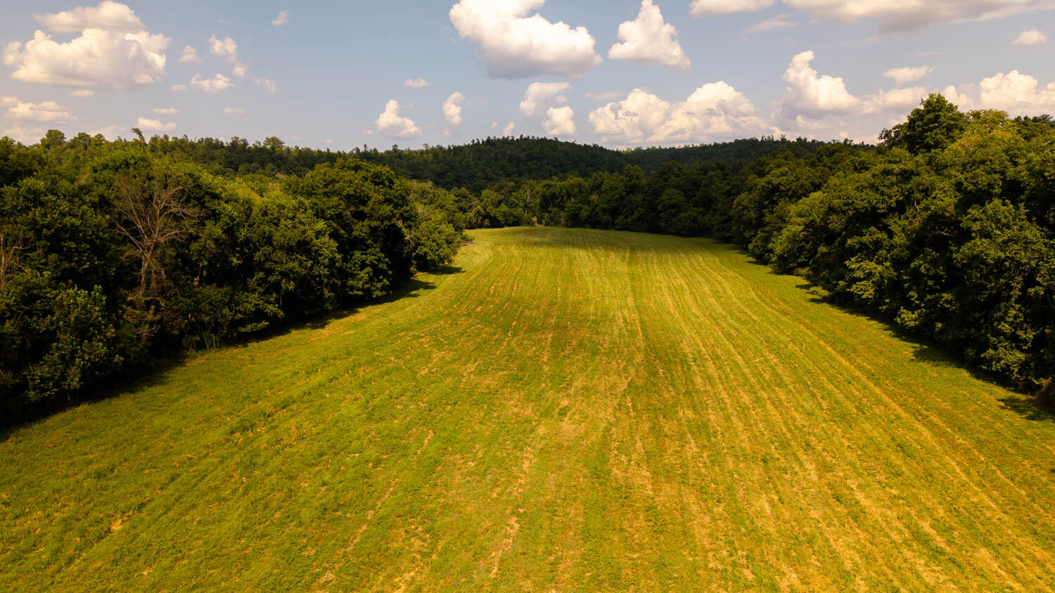 Photo 98 - Land for sale – Tbd  County Road 443   Birch Tree, MO