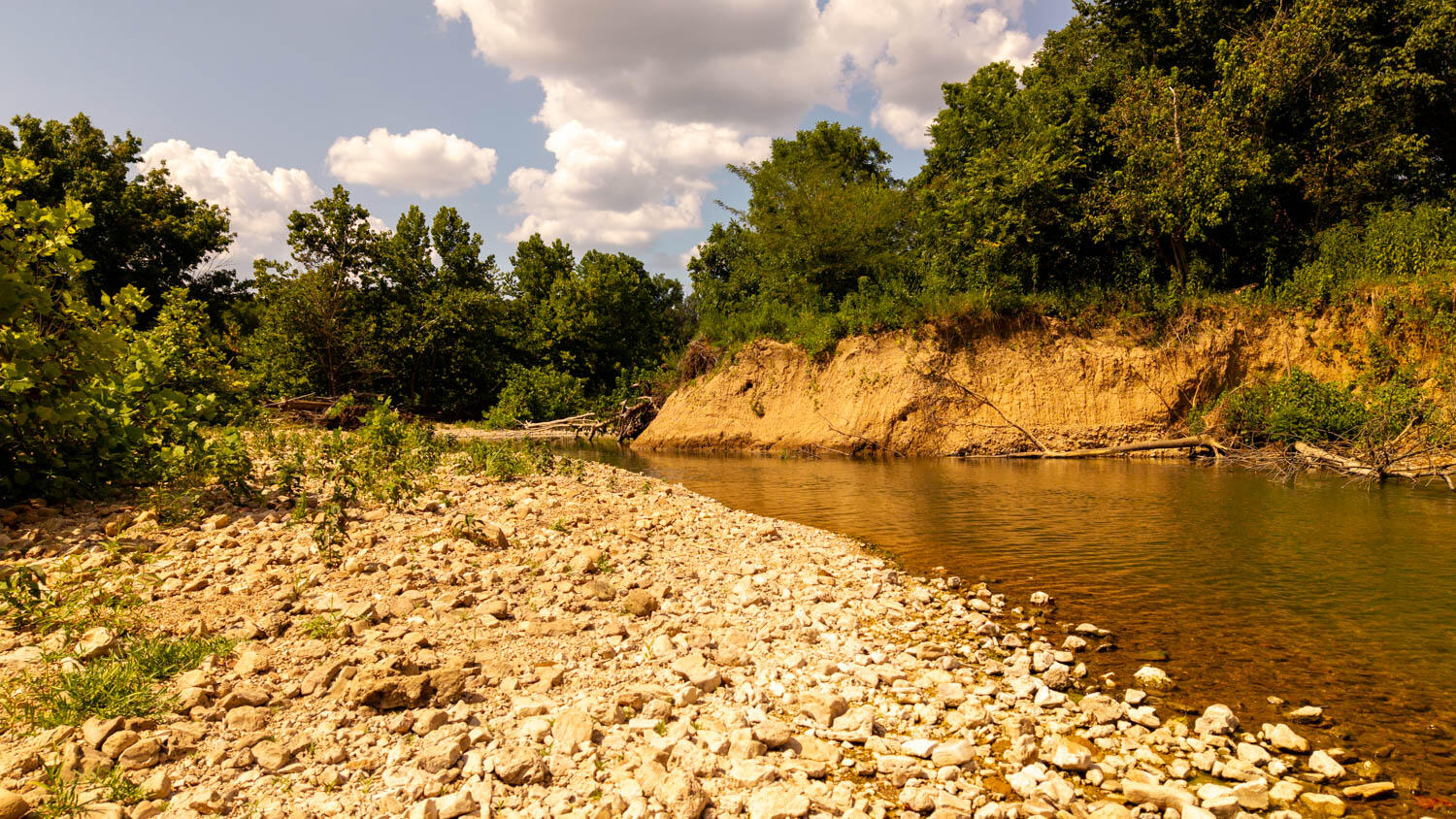 Photo 102 - Land for sale – Tbd  County Road 443   Birch Tree, MO