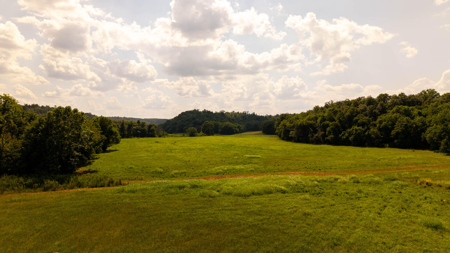 Photo 86 - Land for sale – Tbd  County Road 443   Birch Tree, MO