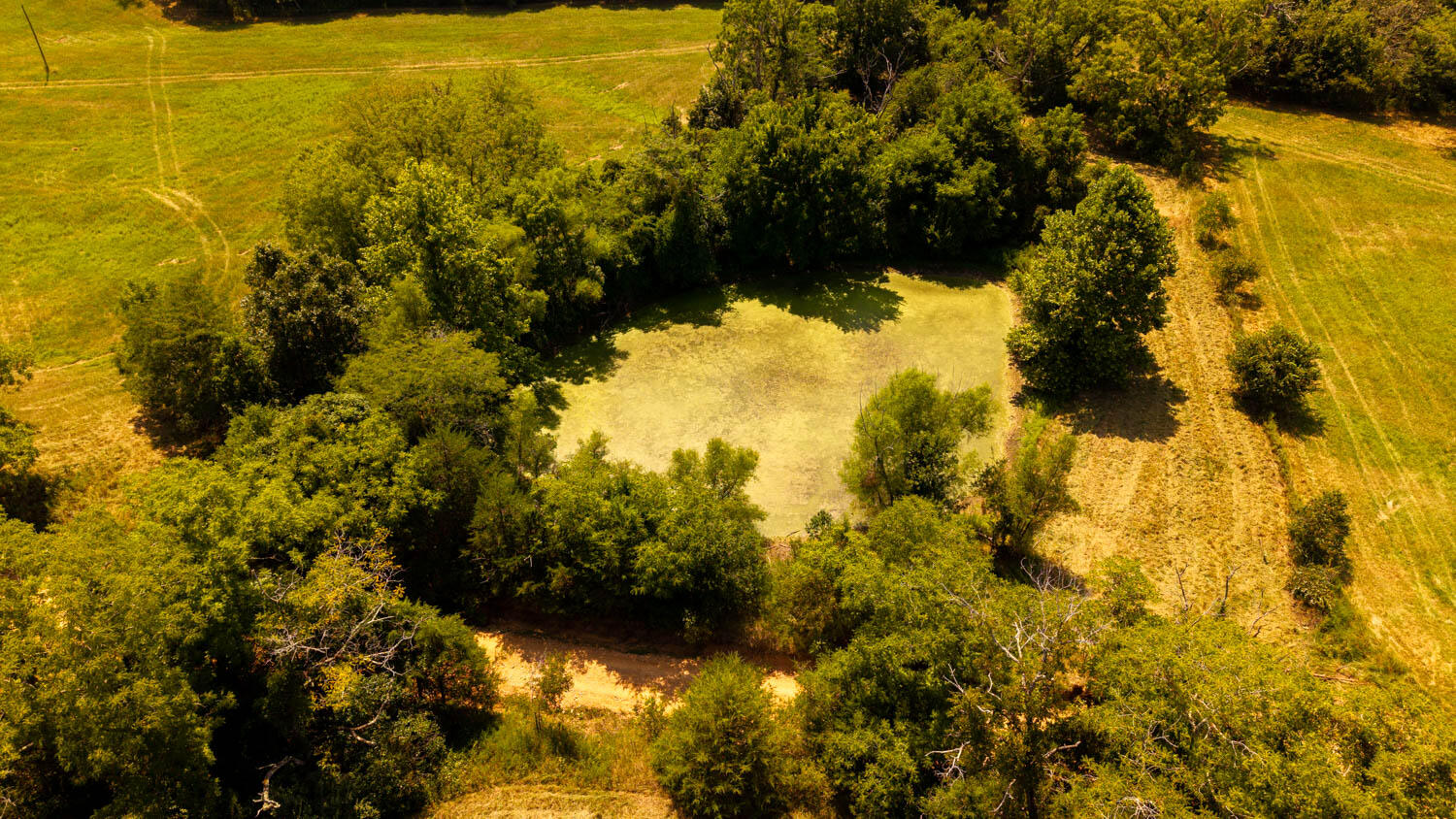 Photo 66 - Land for sale – Tbd  County Road 443   Birch Tree, MO